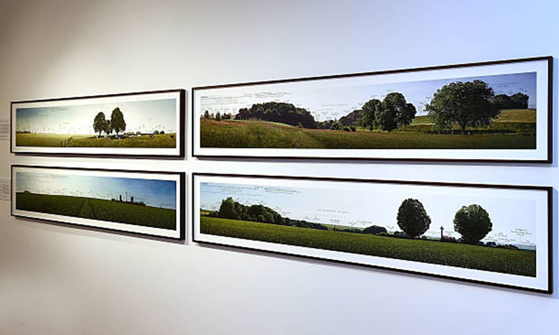 Panoramic Wall Art Placement Ideas for Sofas, Hallways, and Staircases